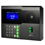 P200Grande